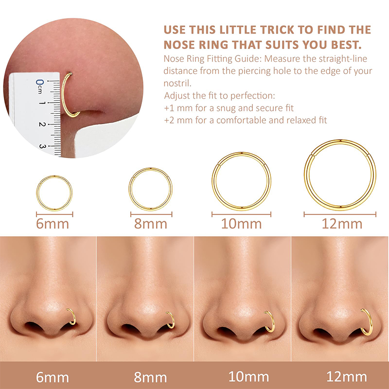16G 316L Surgical Steel Hinged - đánh giá và giá Body Jewelry Nose Studs